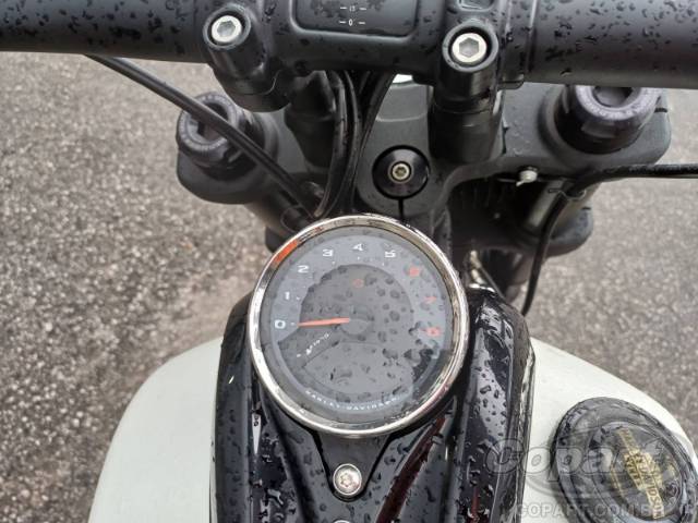 2019 HARLEY-DAVIDSON SOFTAIL 