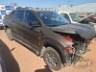 2023 FIAT TORO 
