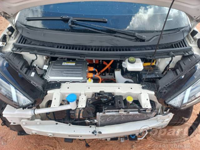 2026 BYD DOLPHIN MINI 