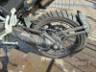 2024 TRIUMPH TIGER 