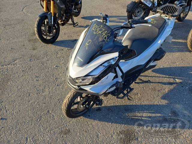 2025 HONDA PCX 