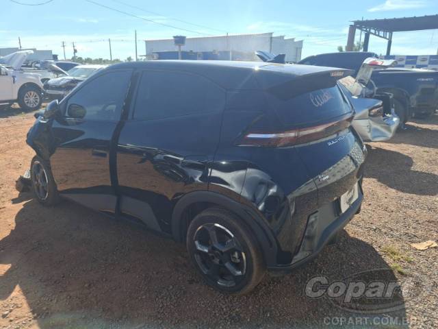 2025 BYD DOLPHIN MINI 