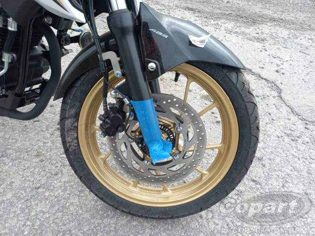 2025 YAMAHA FZ25 FAZER 