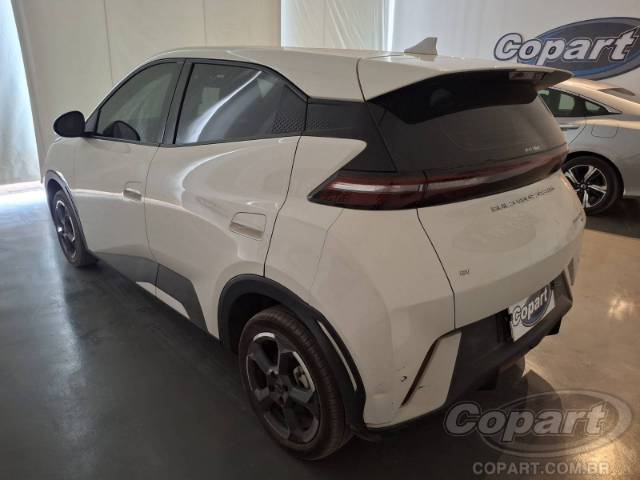 2025 BYD DOLPHIN MINI 
