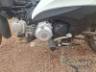 2026 HONDA BIZ 125 