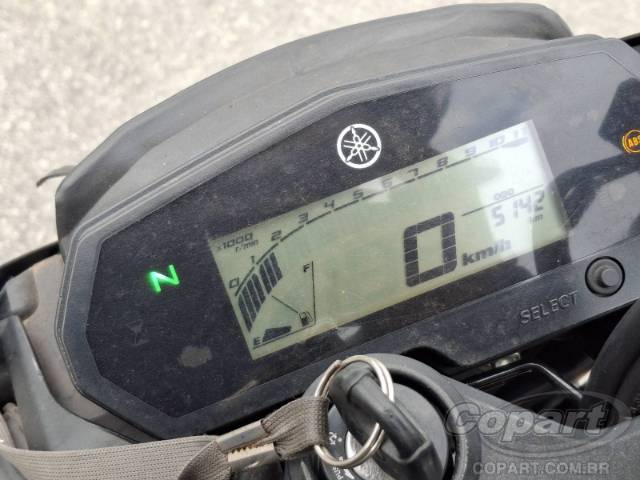 2024 YAMAHA FZ25 FAZER 