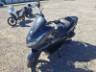 2024 HONDA PCX 