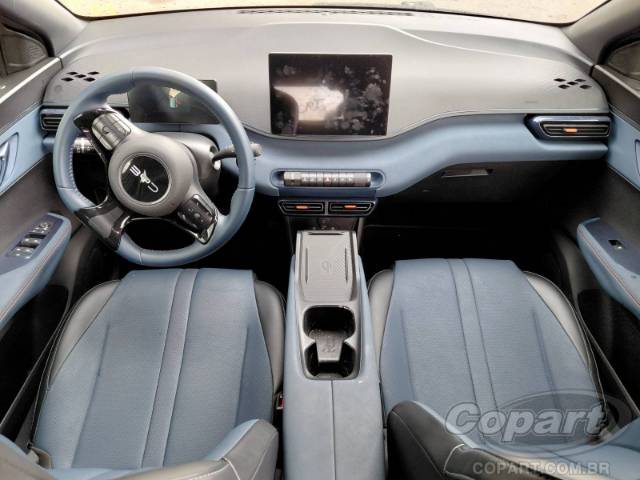 2025 BYD DOLPHIN MINI 
