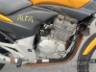 2010 HONDA CB 300 