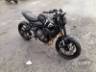 2024 TRIUMPH TRIDENT 