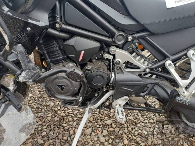2024 TRIUMPH TIGER 