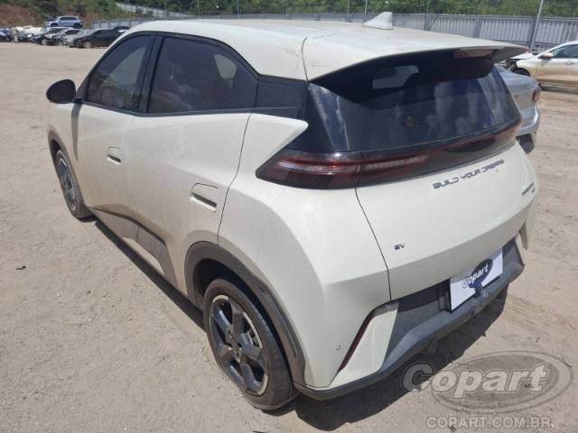 2025 BYD DOLPHIN MINI 