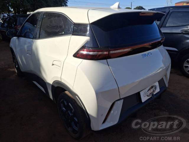 2026 BYD DOLPHIN MINI 