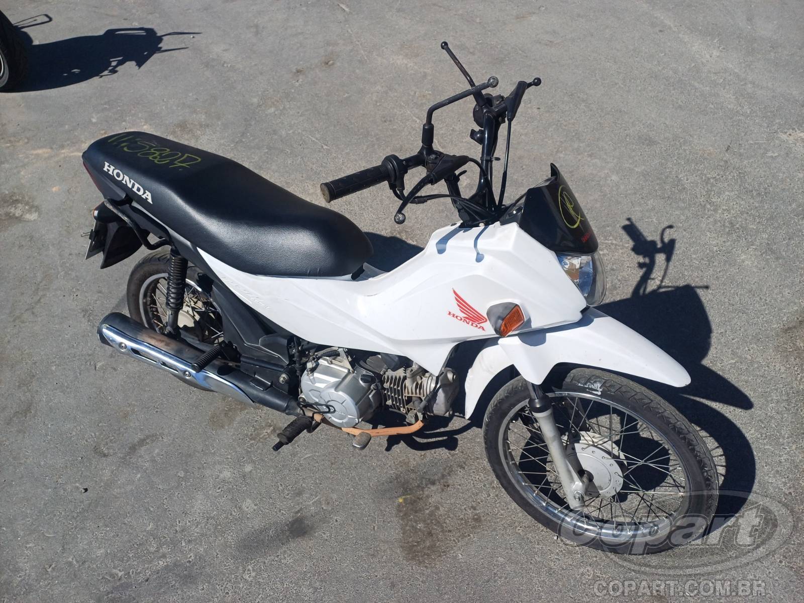 Honda Pop 2023