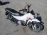 2023 HONDA POP 