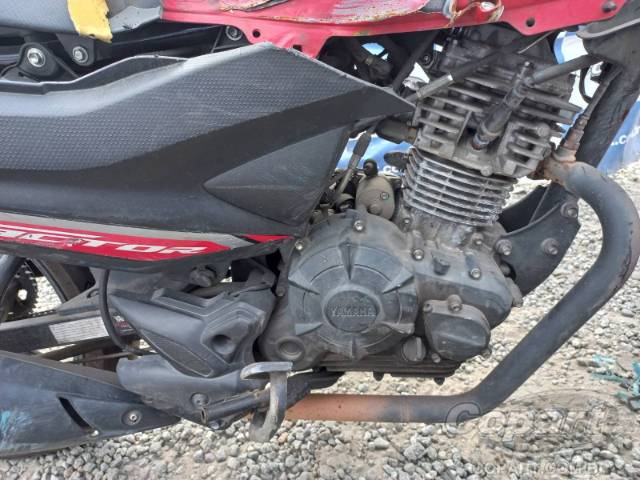 2024 YAMAHA YBR 150 FACTOR 