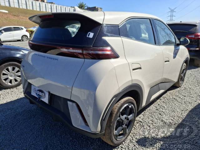 2025 BYD DOLPHIN MINI 