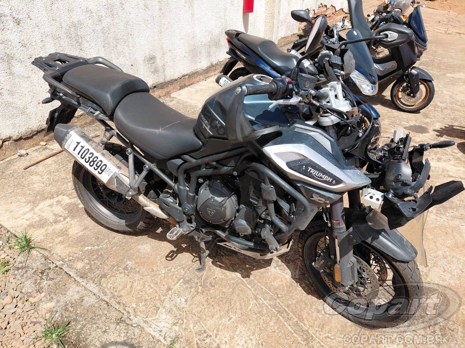 TRIUMPH TIGER 2019