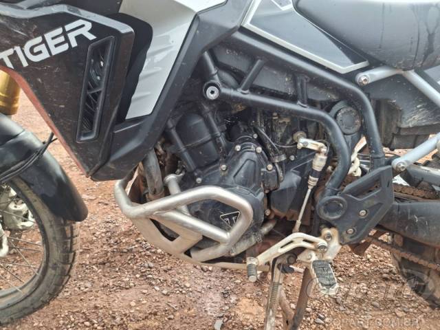 2025 TRIUMPH TIGER 