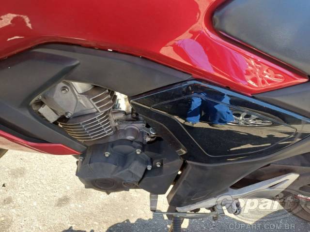 2024 YAMAHA FZ15 