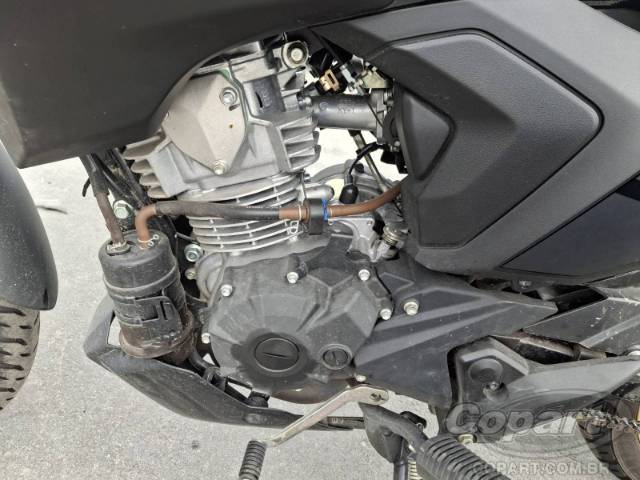 2025 YAMAHA FACTOR 