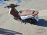 2025 SHINERAY XY 125 