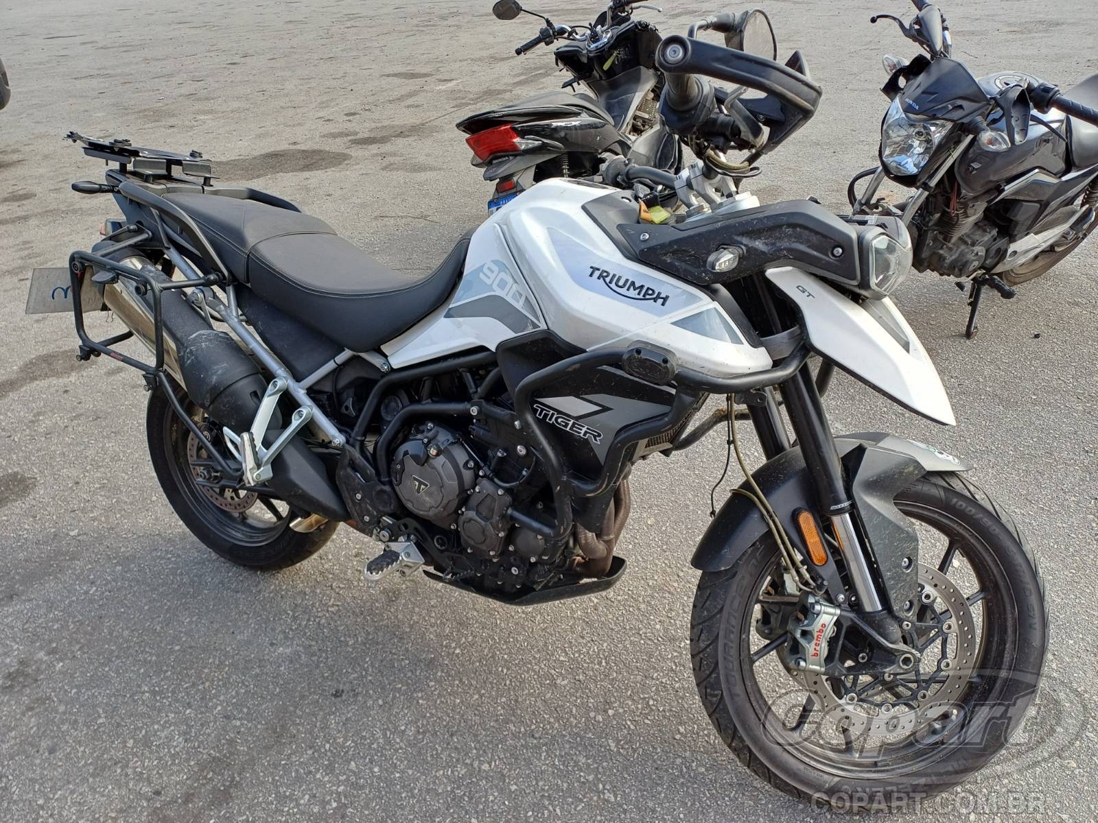 Veículo TRIUMPH Tiger TRIUMPH TIGER 2021 2021 em leilão