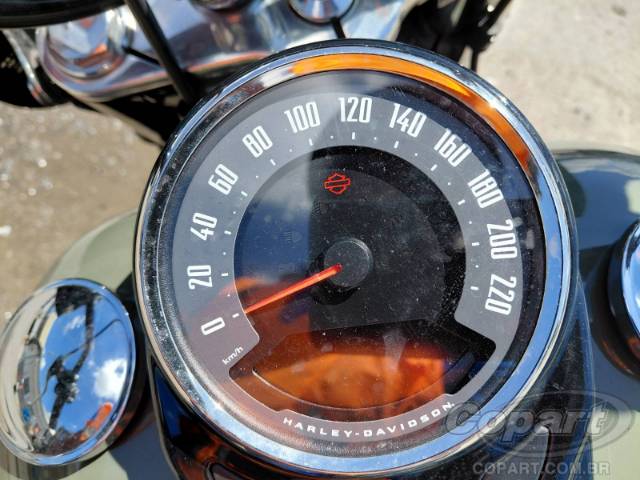2021 HARLEY-DAVIDSON SOFTAIL 