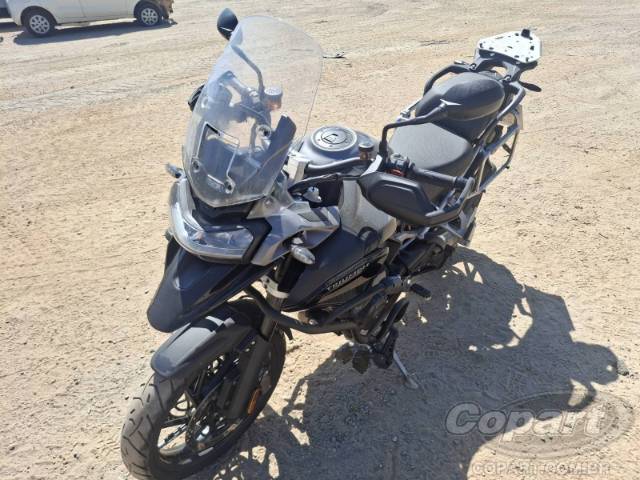 2025 TRIUMPH TIGER 