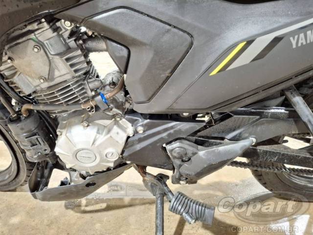2025 YAMAHA FACTOR 
