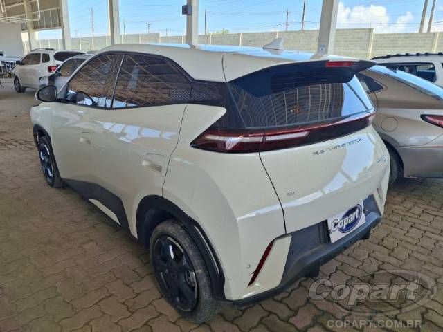 2025 BYD DOLPHIN MINI 