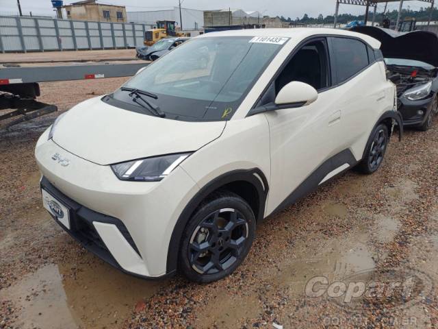 2026 BYD DOLPHIN MINI 