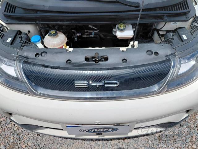2024 BYD DOLPHIN 