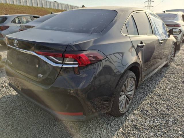 2024 TOYOTA COROLLA 