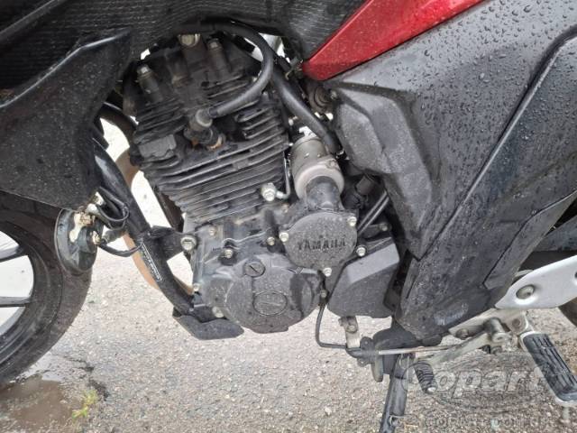 2024 YAMAHA FZ25 FAZER 