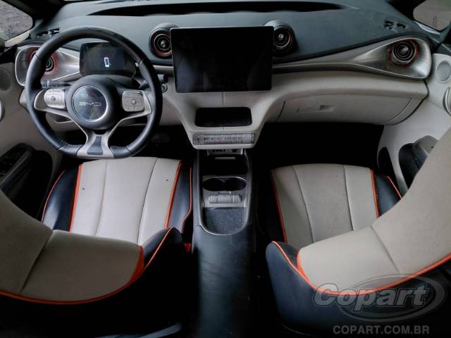 2024 BYD DOLPHIN 