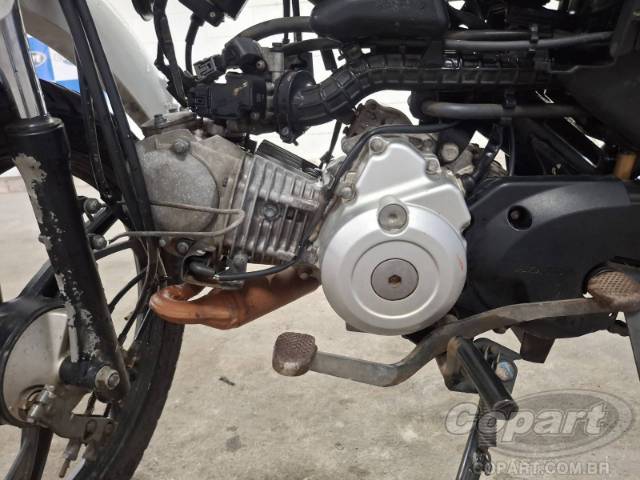 2025 HONDA POP 