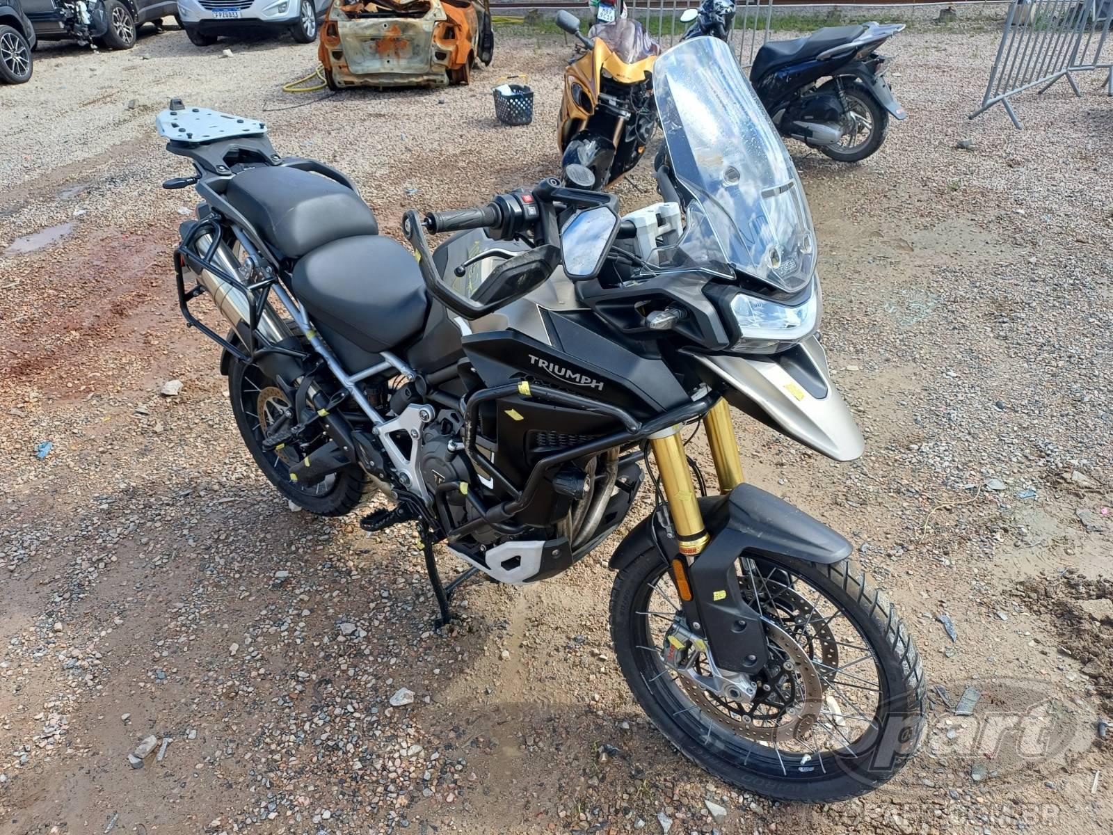 TRIUMPH TIGER 2024