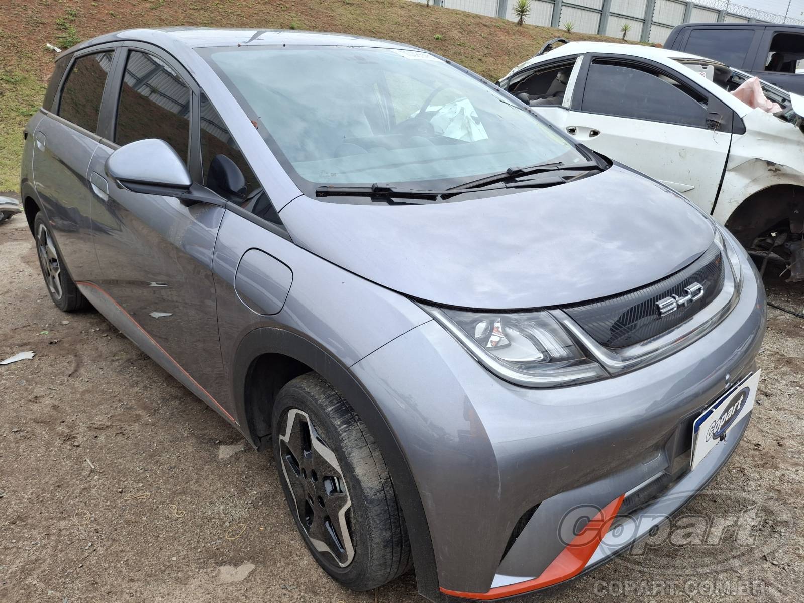 BYD DOLPHIN 2025 Elétrico