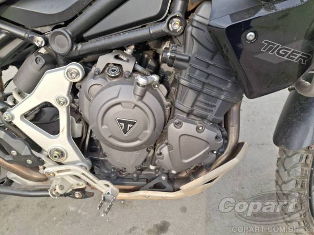 2024 TRIUMPH TIGER 