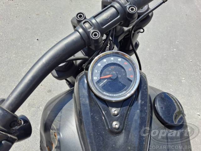 2019 HARLEY-DAVIDSON SOFTAIL 