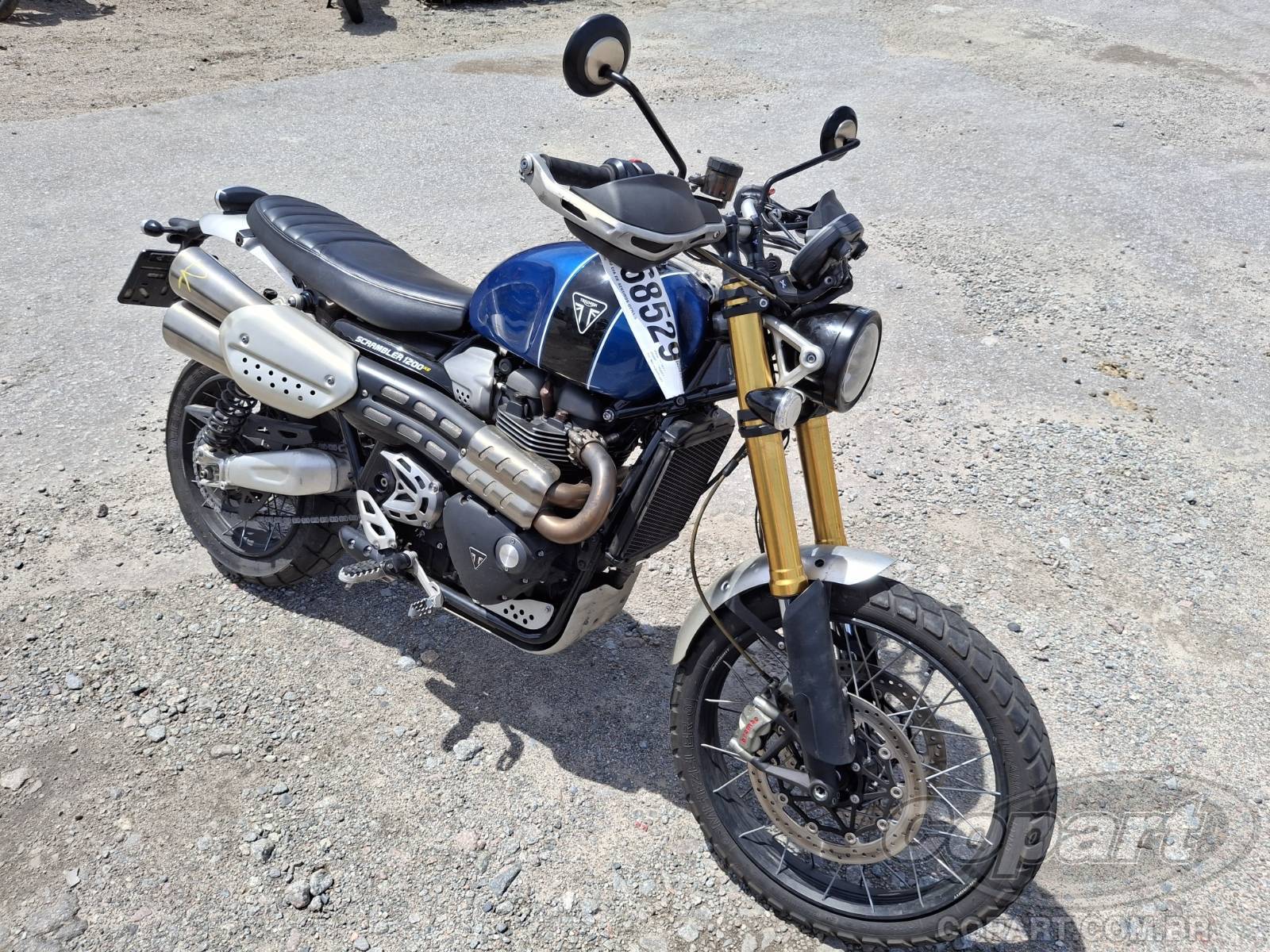 Veículo TRIUMPH Scrambler TRIUMPH SCRAMBLER 2019 2019 em leilão