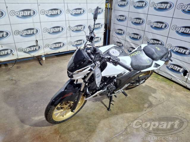 2025 YAMAHA FZ25 FAZER 