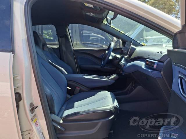 2025 BYD DOLPHIN MINI 