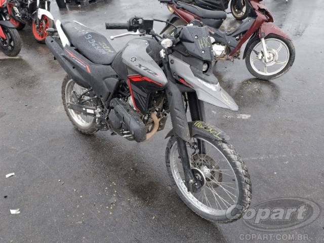 2025 YAMAHA XTZ 250 