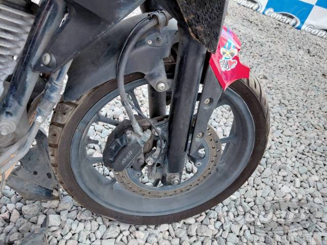 2024 HONDA CB 300F 