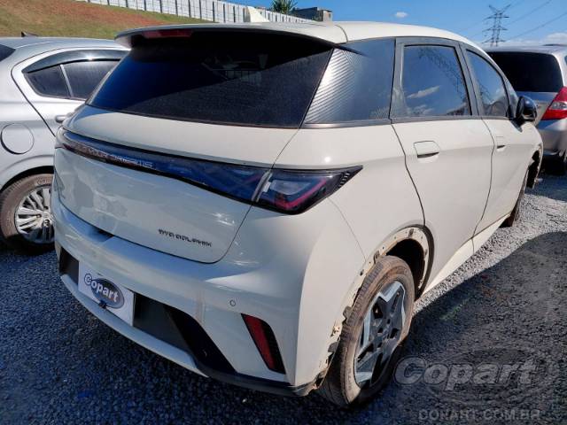 2024 BYD DOLPHIN 