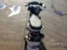 2024 YAMAHA FZ15 