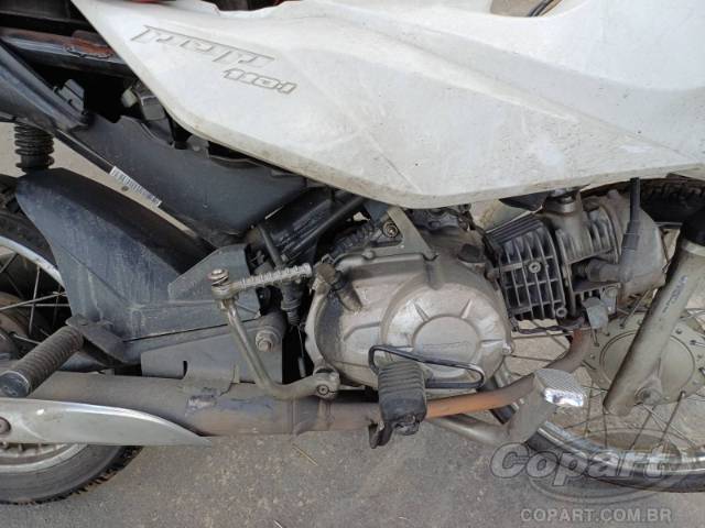 2024 HONDA POP 