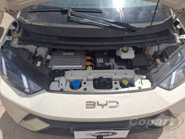 2025 BYD DOLPHIN MINI 